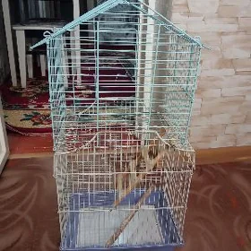 клети для птиц