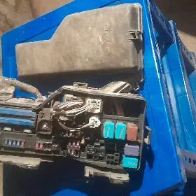 Camry Elektrik