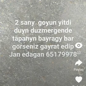 2 sany goyun chykyp gidipdir