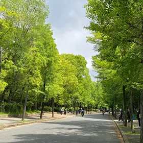 пекарь/помошница