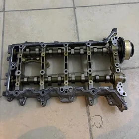 vanus raspetdual