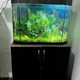 akwaryum 100 LT