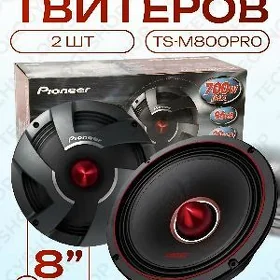 Pioneer Kalonka