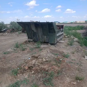 kuzwa