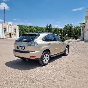 Lexus RX 330 2004