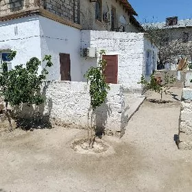jangada jay