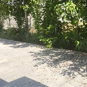 Багир