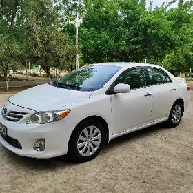 Toyota Corolla 2013