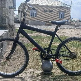 TIGIR