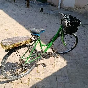 velisoped