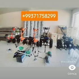 Yer suryan agdaryan enjamlar