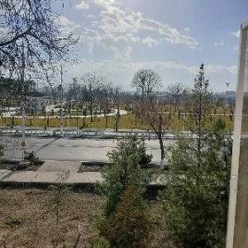 Сдаётся
