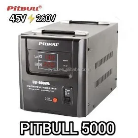 TOK KÖPELTŸÄN ENJAMLAR PITBULL