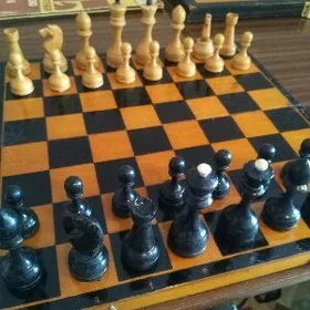 шахматы