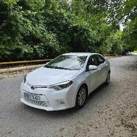 Toyota Corolla 2014