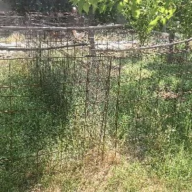 2 horoz ylgatmak üçin setka