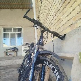 SPORT ADİDAS VELİK