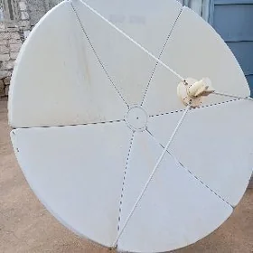 satlyk