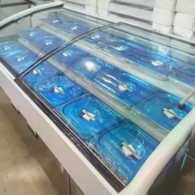 Holodilnik