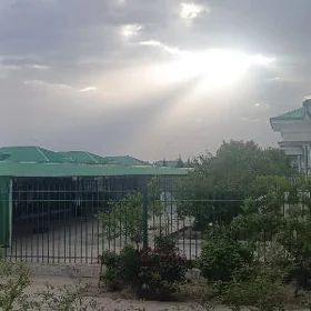 ARENDA TAZE ZAMAN