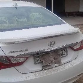 Hyundai Sonata 2011