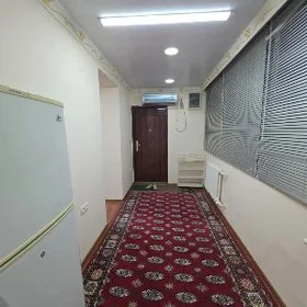 satlyk jaylar