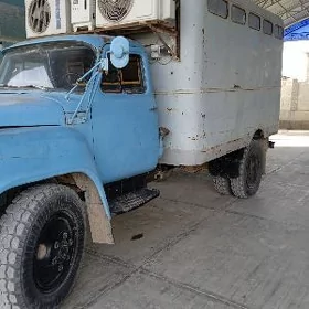 TOY HALADİLNİK