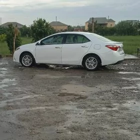 Toyota Corolla 2014