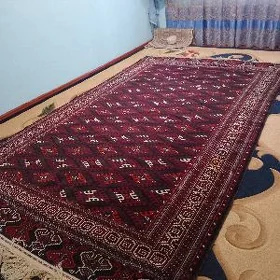 Yomut el haly