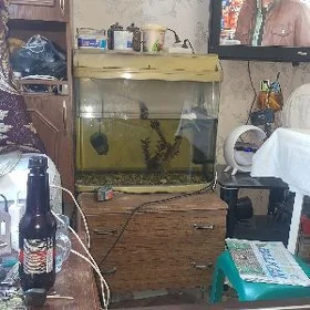 аквариум