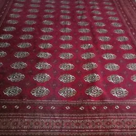 Eyran haly