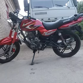 Fekon FK200-14G 2026