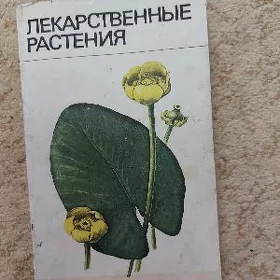 книга