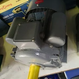 elektro dwigatel 220 w