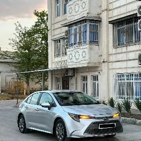 Toyota Corolla 2021
