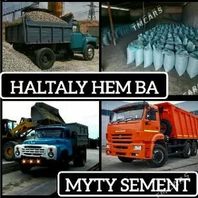 NALOFKA MITI SEMENT MYTY PULPA
