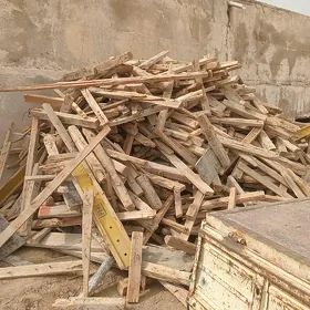 agaç plimut strepile polluk