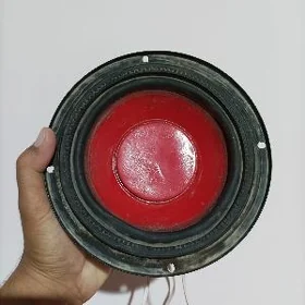 bass bocga