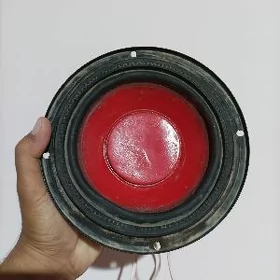 bass bocga sentyrynky