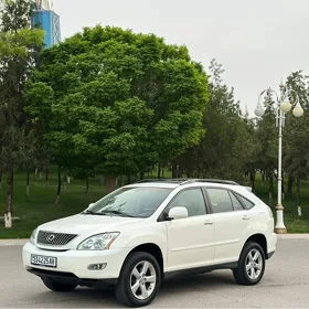 Lexus RX 330 2004