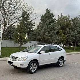 Lexus RX 330 2004