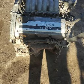 Mator karopga