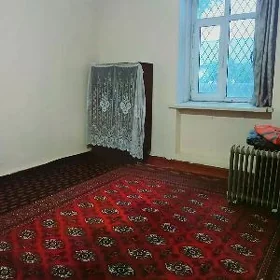 Buzmeyin Kruk