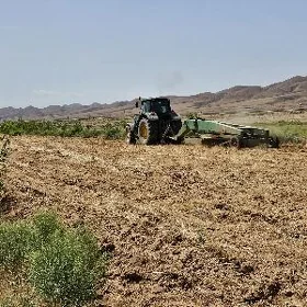 Bag-bakja üzüm üçin 3gr ýer