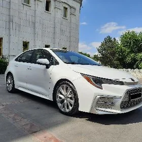 Toyota Corolla 2021