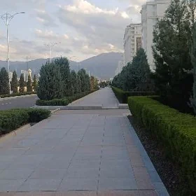   GÜNLÜK KVARTIRA️️️