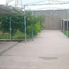 Änew oputny howly jaý