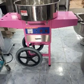 Pagta süji enjamy