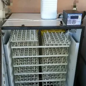 1008 ýumurtga üçin inkubator.