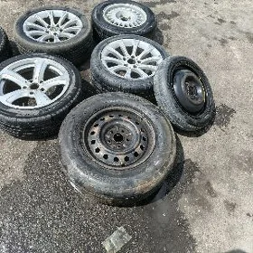 zapaska  dysga pakryşkalar